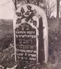 "Here lies an important woman, young in days, the late Doba Rozenfeld, daughter of Reb Moshe Mendil - may his light shine. She died 13th Shevat 5696 as the abbreviated era."  

Translated by Heidi M. Szpek, Ph.D. (szpekh@cwu.edu), Associate Professor of Religious Studies, Department of Philosophy and Religious Studies, Central Washington University, Ellensburg, WA 98926.